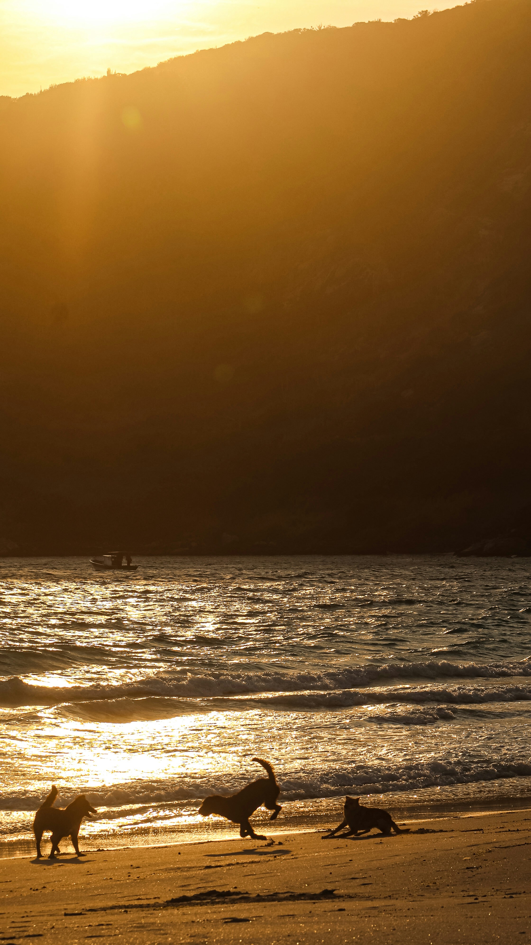 Photo by ribeiro__jean