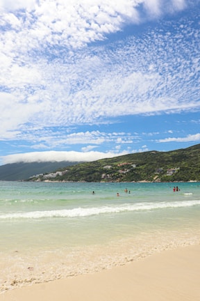a group of people swimming in the ocean