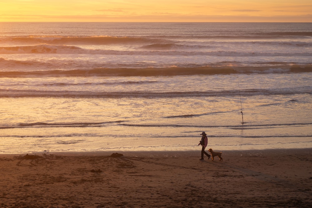 a person walking a dog on a beach at sunset