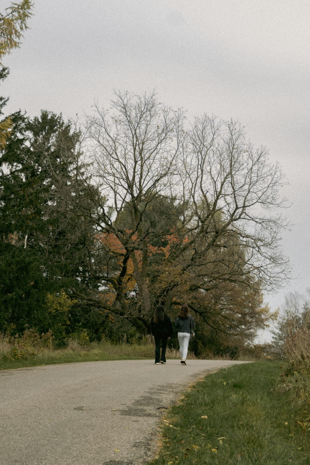 a couple of people walking down a dirt road