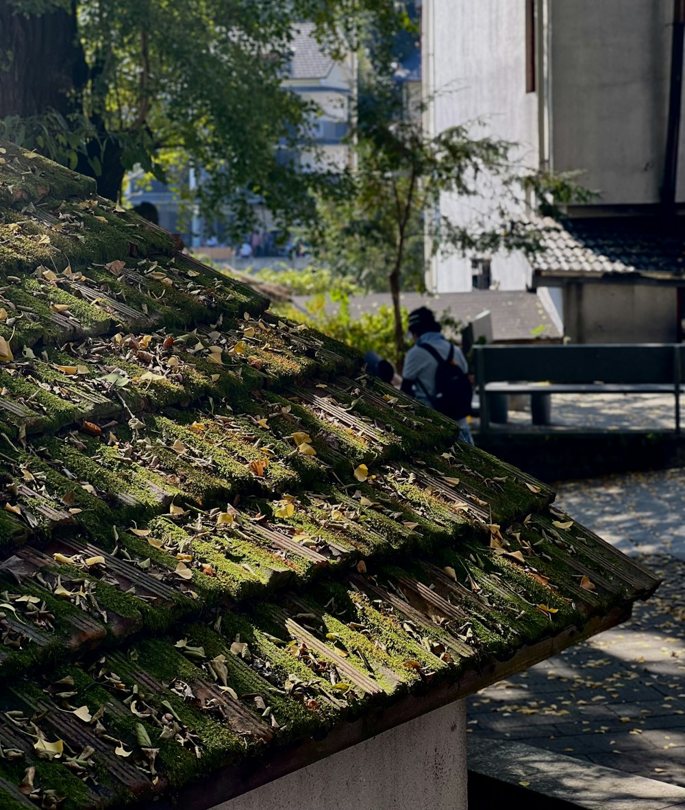 a man sitting on a bench next to a green roof