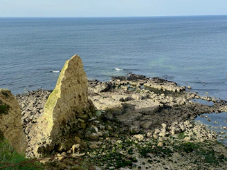 Wide shot of the rugged Gargano coastline with wild salicornia fields in the foreground.