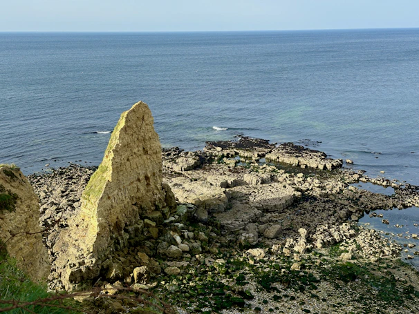Wide shot of the rugged Gargano coastline with wild salicornia fields in the foreground.