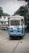 An old blue and white tram is situated on a street track with trees and a building in the background. The tram is labeled WBTC and shows its route between Ballygunge and Tollygunge. A pigeon is visible on the tracks in front of the tram. The setting appears to be somewhat overcast.