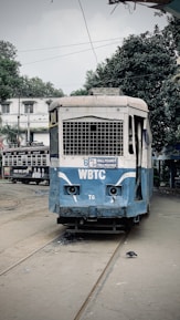 An old blue and white tram is situated on a street track with trees and a building in the background. The tram is labeled WBTC and shows its route between Ballygunge and Tollygunge. A pigeon is visible on the tracks in front of the tram. The setting appears to be somewhat overcast.