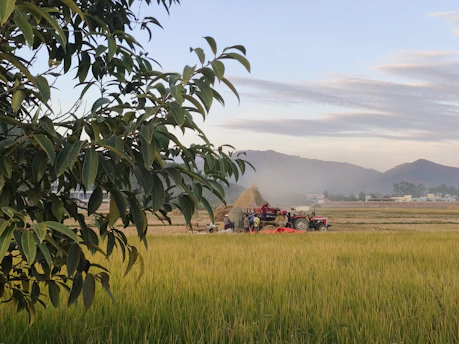 A vibrant farm landscape showing crops, livestock, and workers in the field.