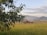 A rural landscape featuring a field of ripe crops with a large tree in the foreground. In the middle ground, workers operate a red tractor near a haystack, while mountains rise in the background under a partly cloudy sky.