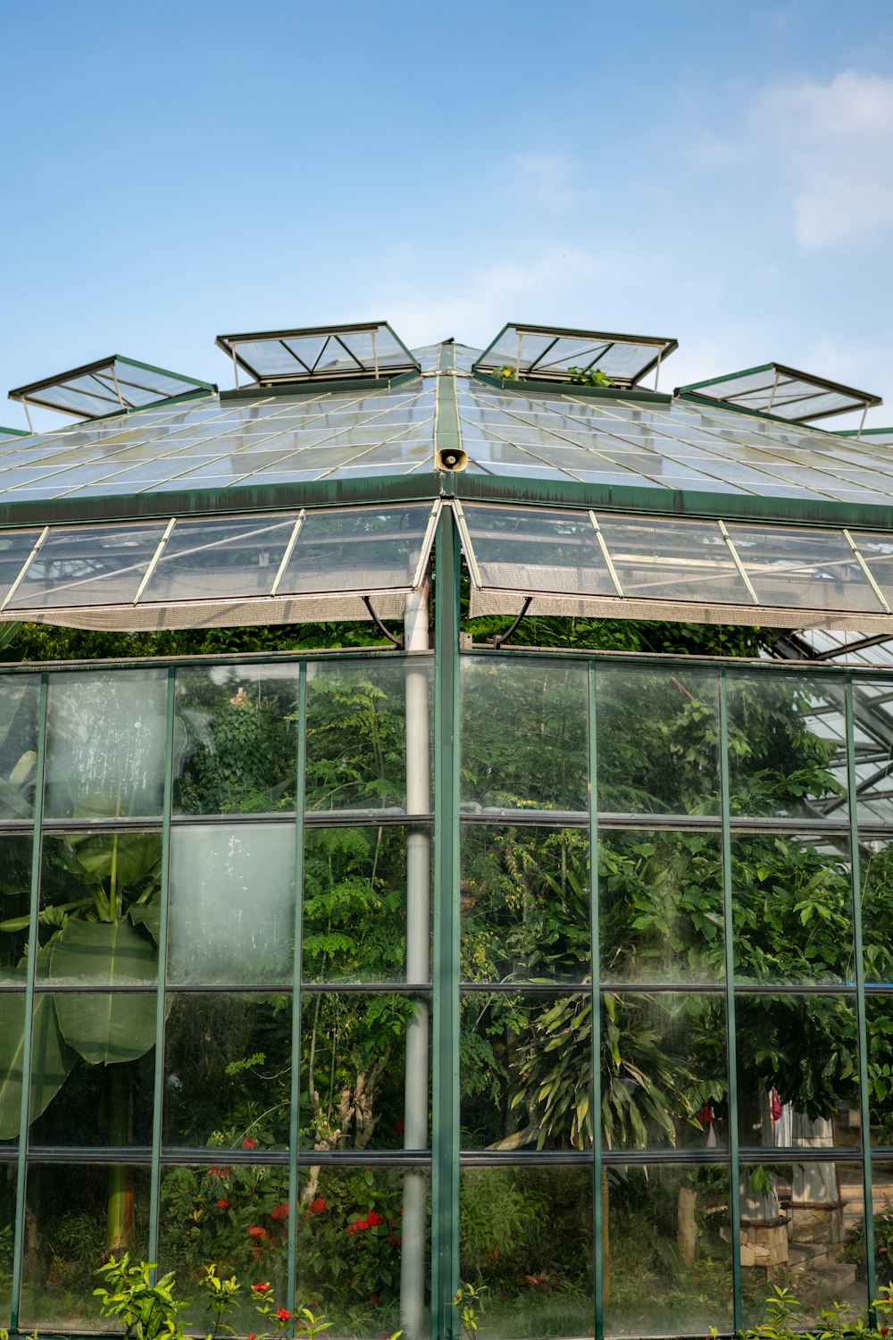 a green house with lots of plants growing inside of it