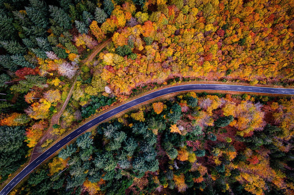 an aerial view of a road surrounded by trees