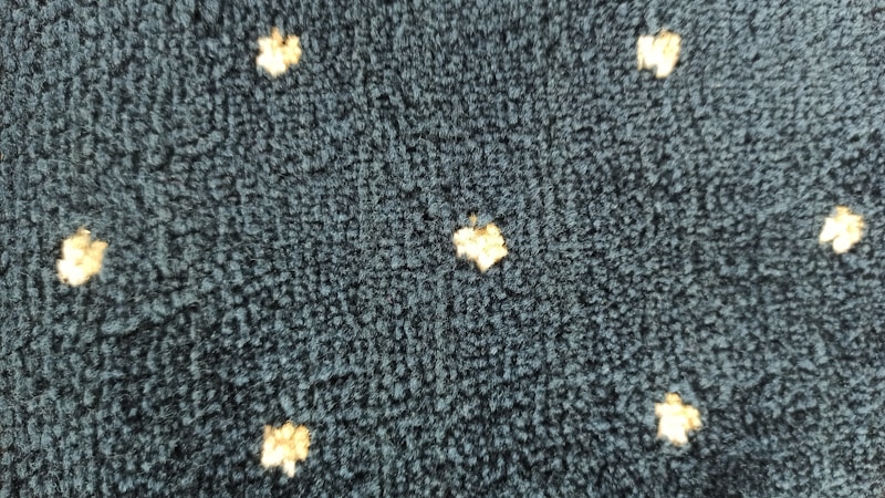 Understanding Stain Master Cleaners: Transforming Spaces with Expertise