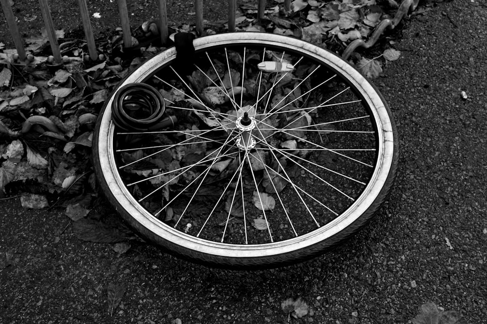 a bicycle wheel laying on the ground next to a fence