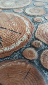 Multiple circular slices of tree trunks are closely arranged, revealing the detailed growth rings and natural wood texture. The image focuses on the intricate patterns and rugged surfaces of the cut timber.