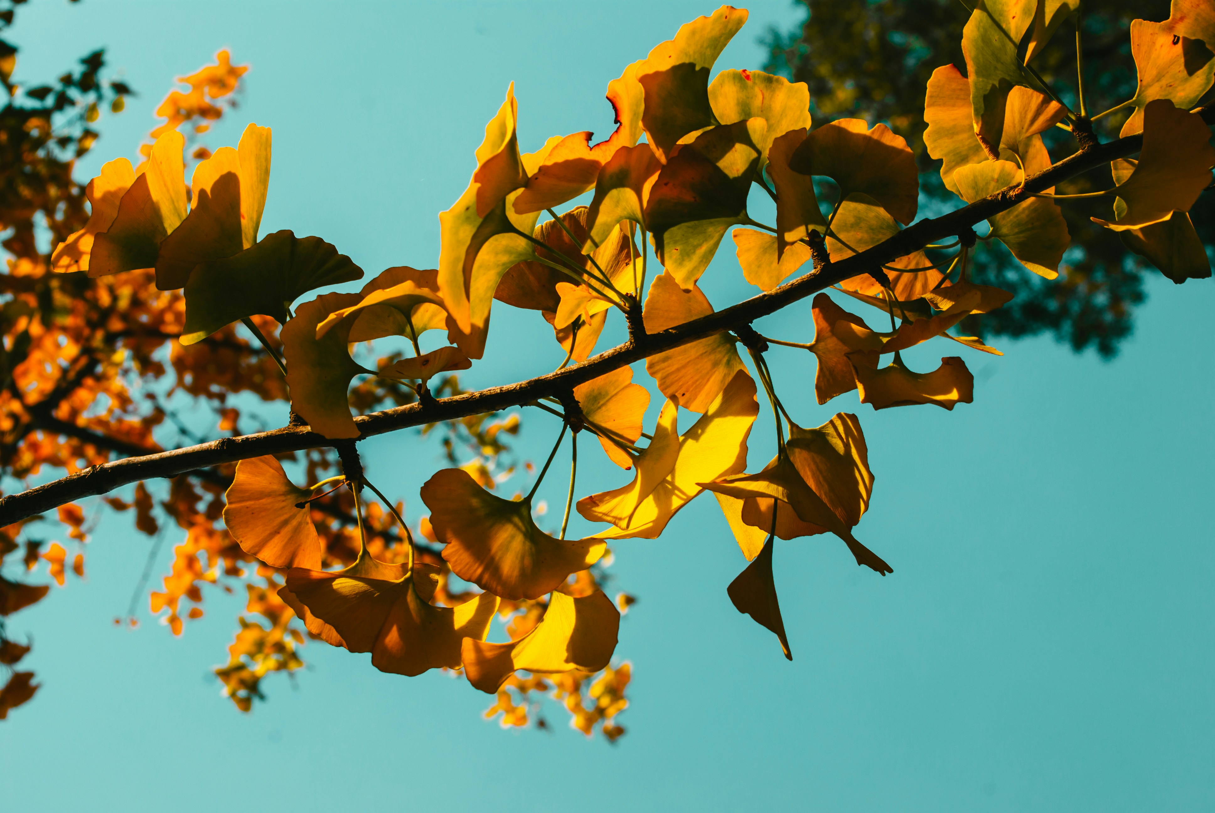 Photo by moonmoons_days