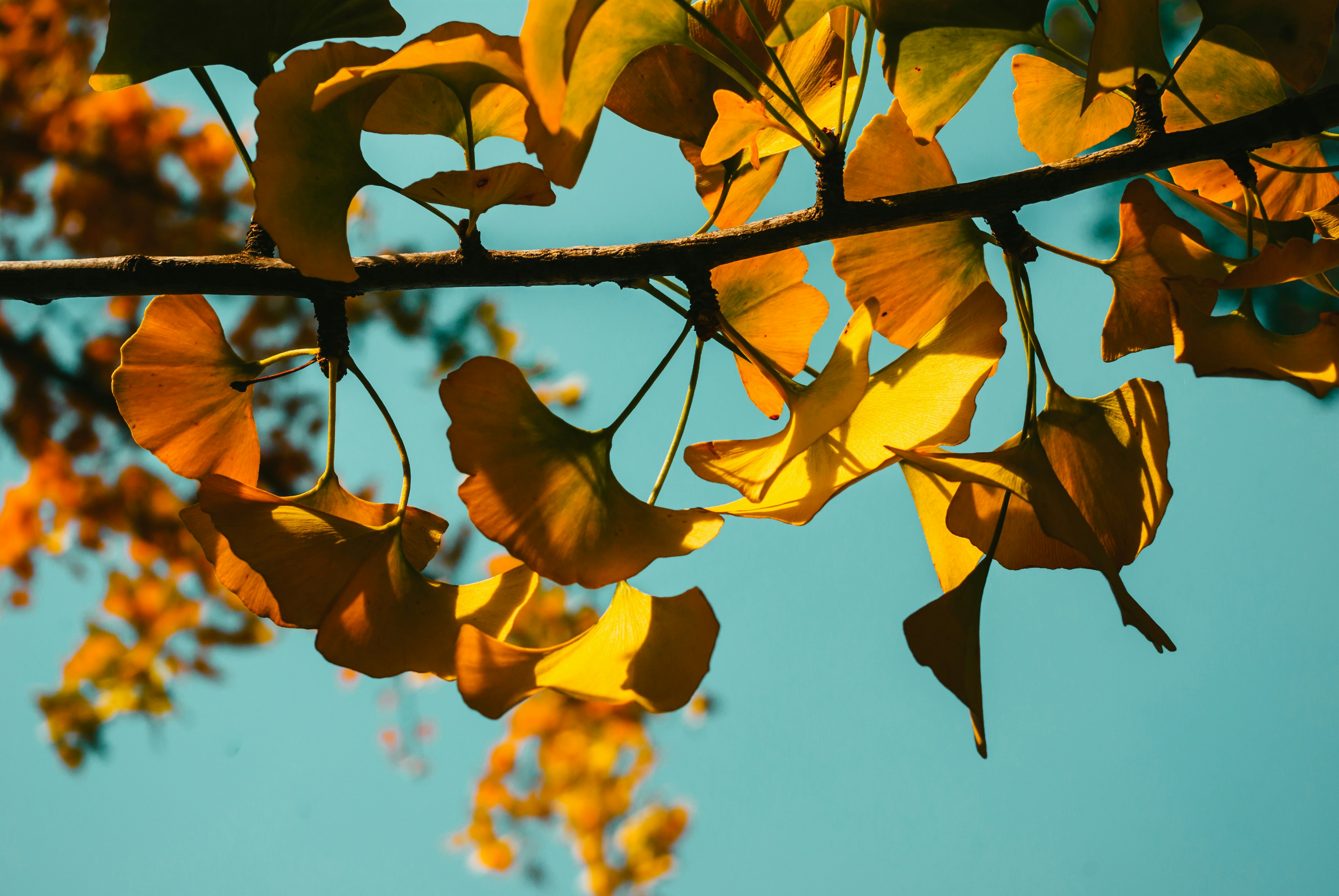 Photo by moonmoons_days