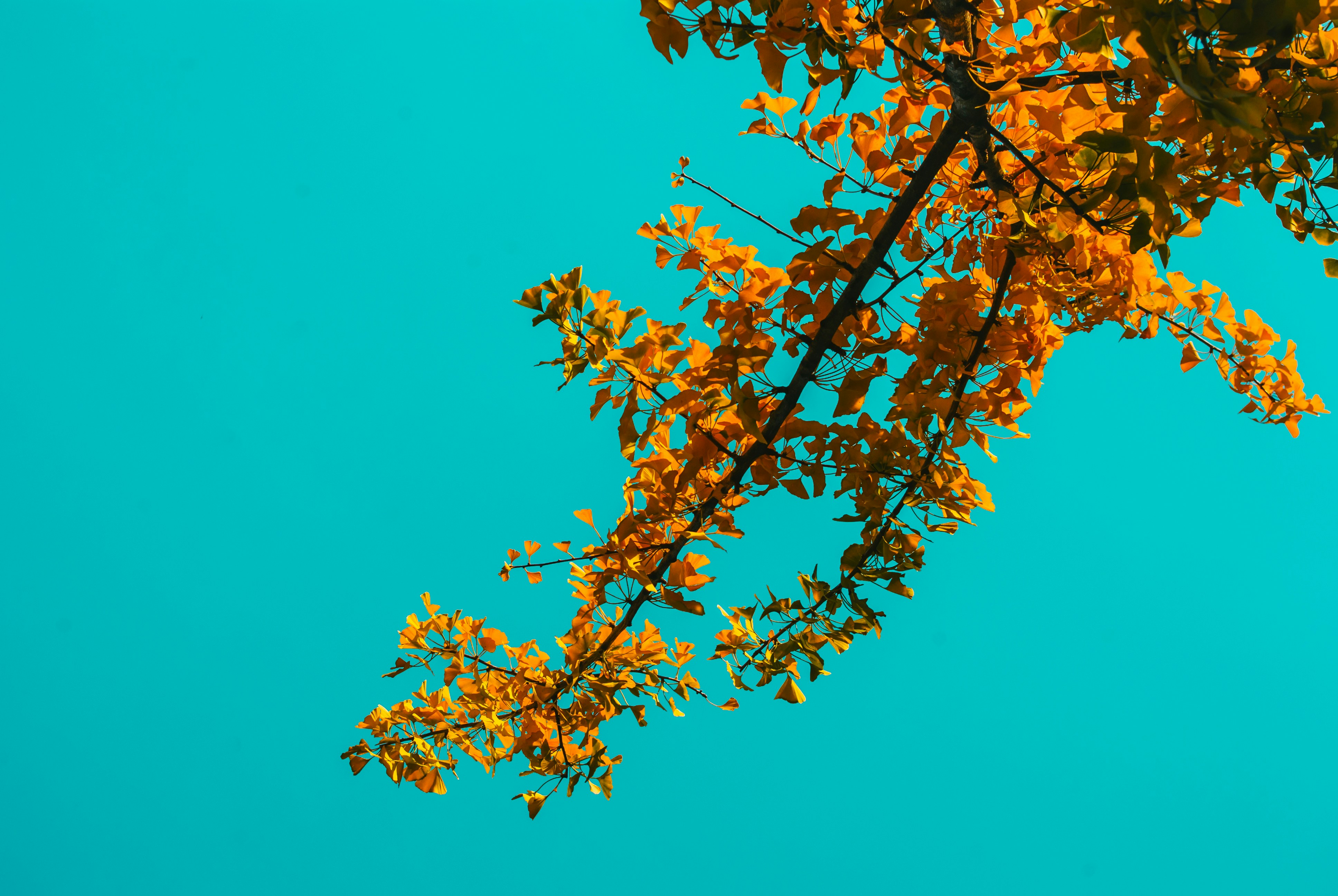 Photo by moonmoons_days