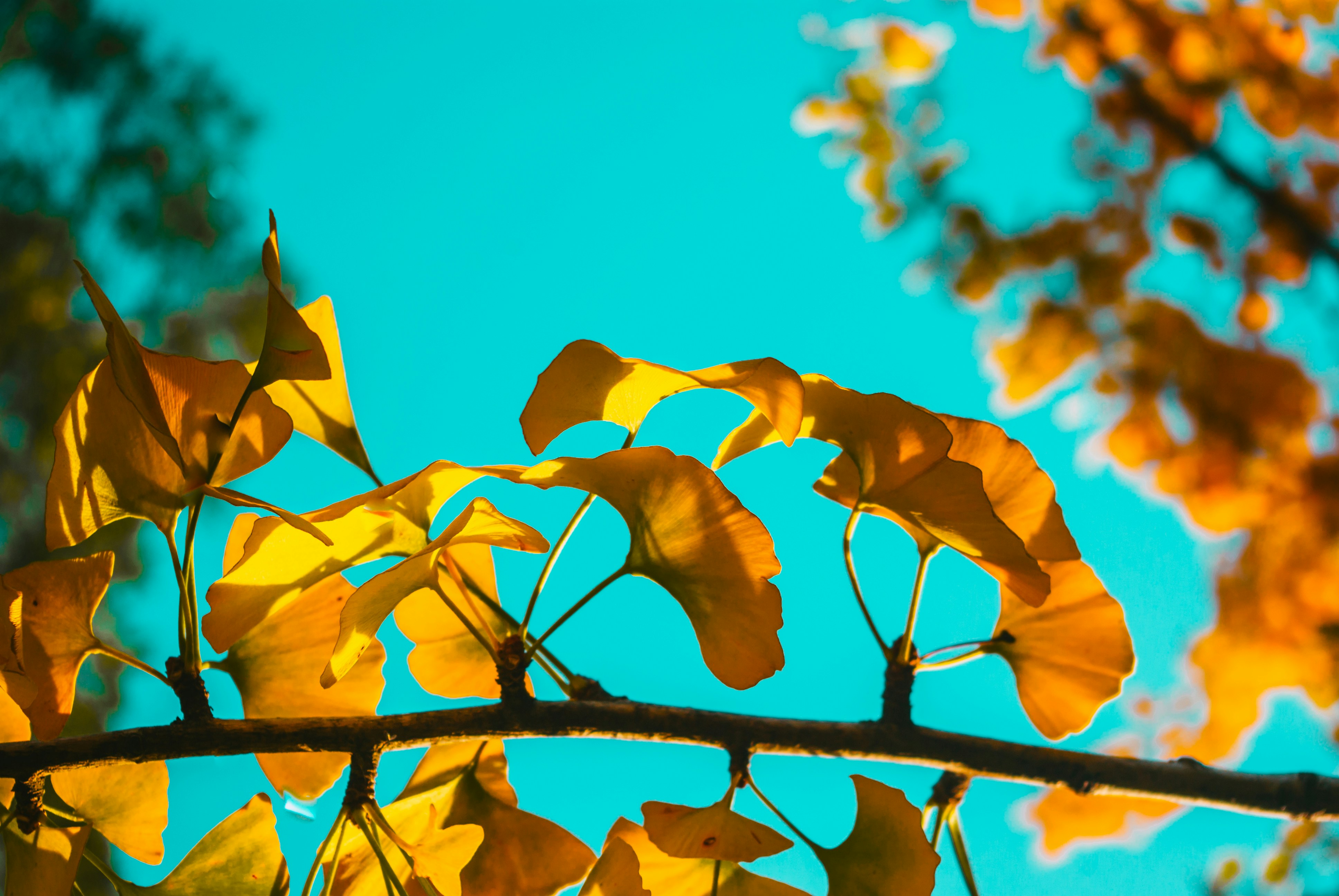 Photo by moonmoons_days