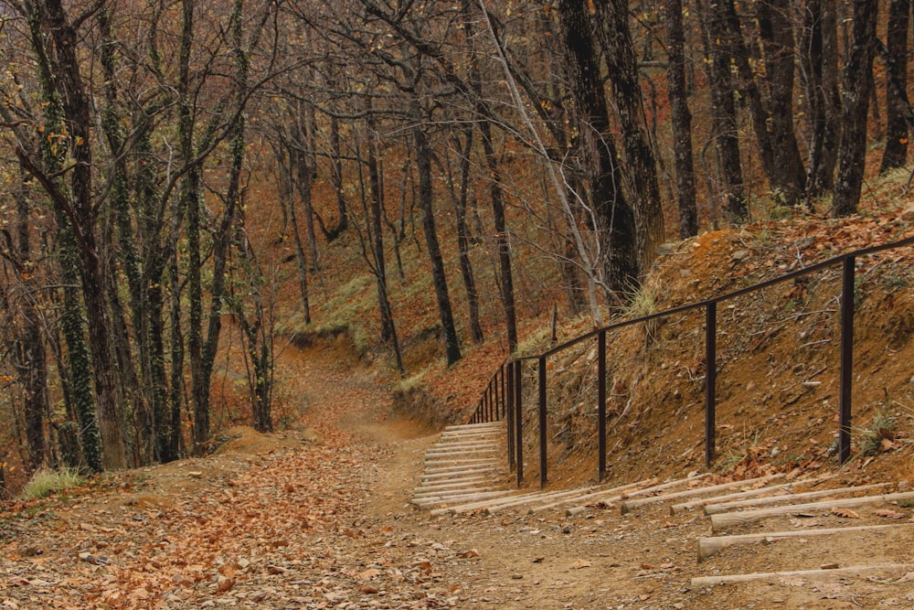 a set of stairs leading up a hill in the woods