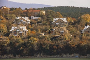 A cluster of houses is nestled among lush greenery and trees on a hillside, with a forest and mountains in the background. The houses are multi-storied with gabled roofs and appear to be surrounded by autumn foliage, displaying brown, yellow, and green hues.