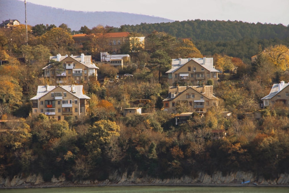 a row of houses sitting on top of a lush green hillside