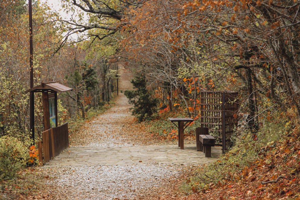 a path in a park with benches and trees