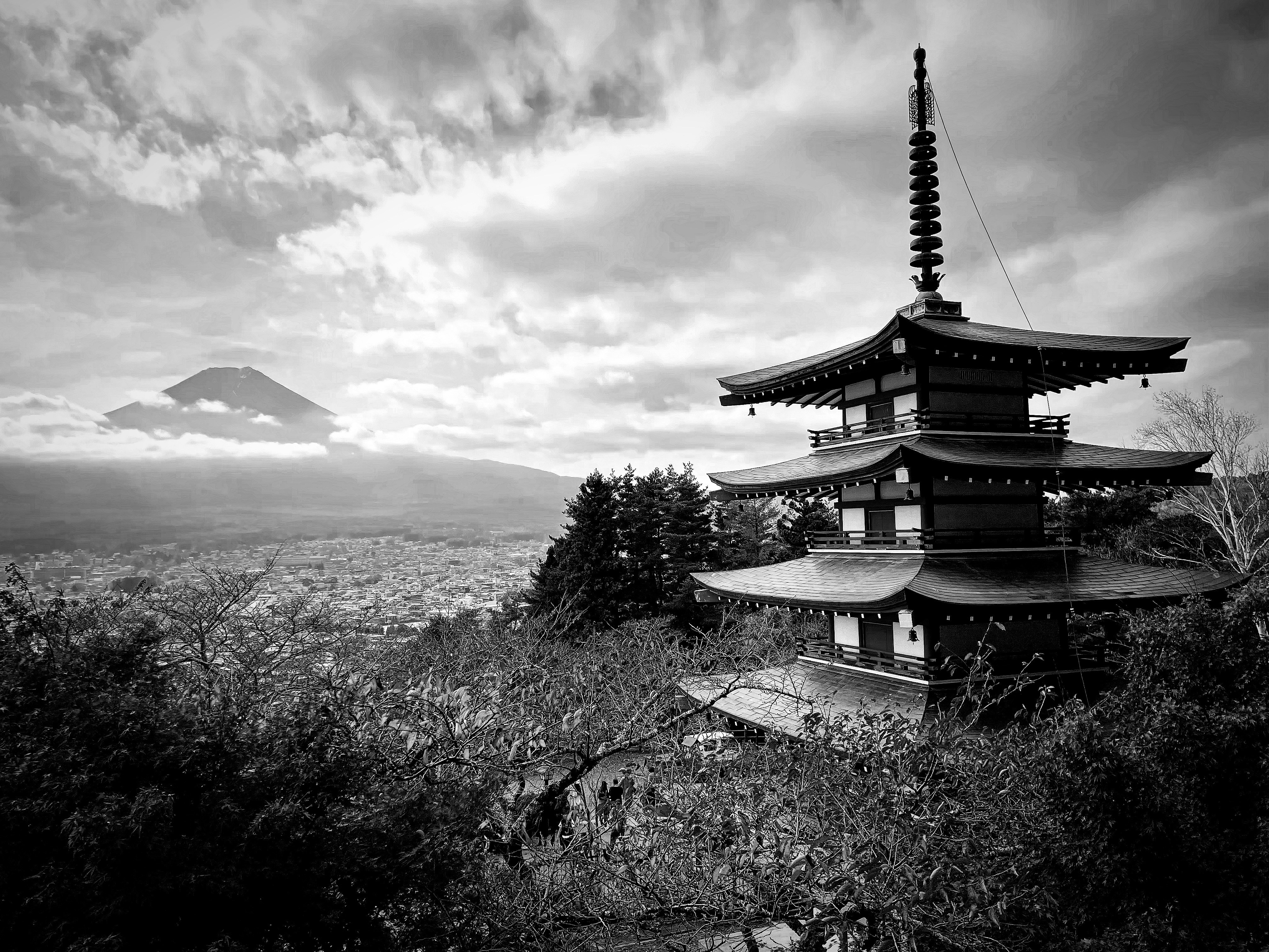 Una foto in bianco e nero di una pagoda