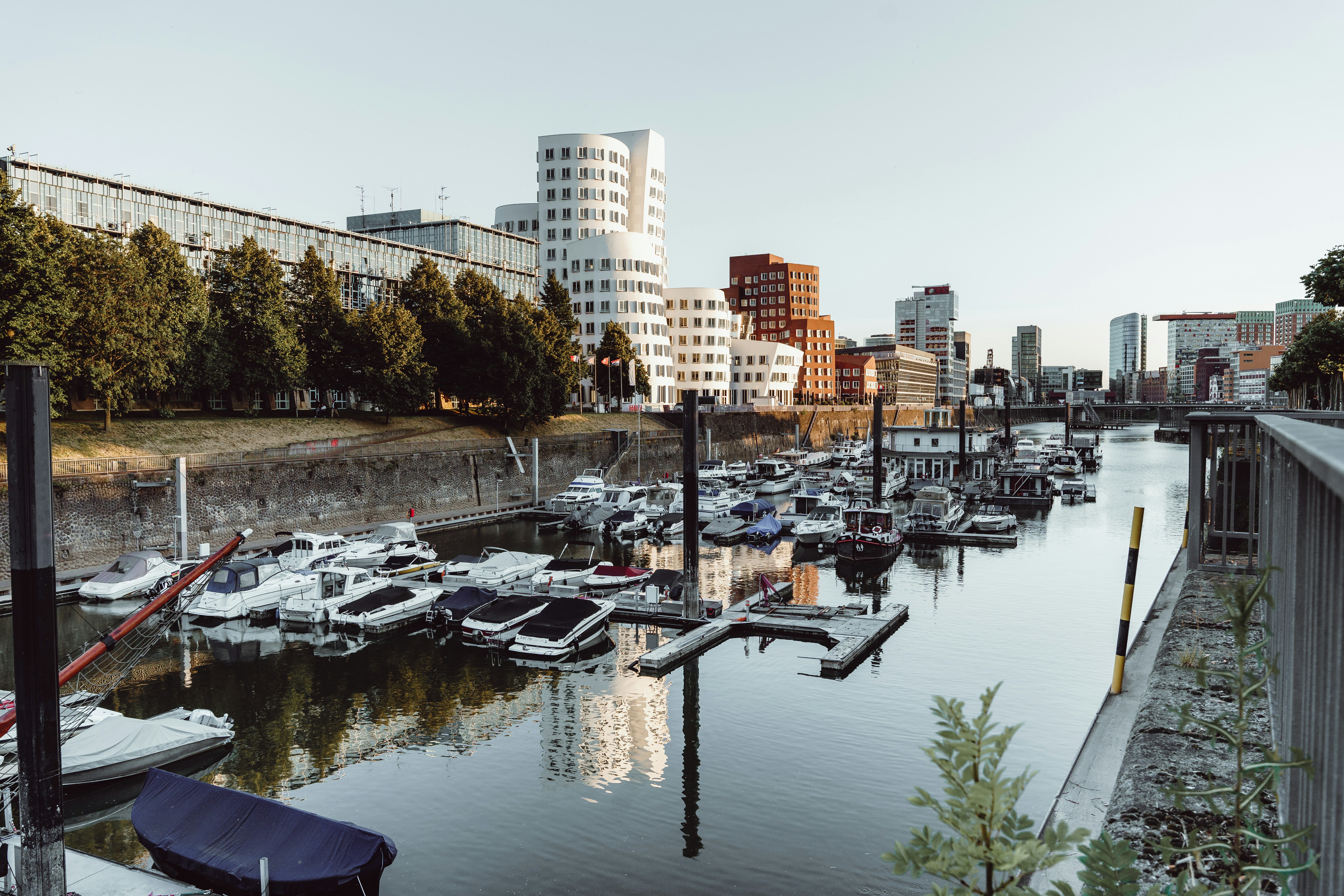 Photo by masoodaslami