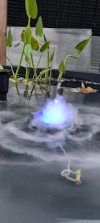 A small pond features lush green plants with elongated leaves emerging from the water. A misty vapor with a blue hue swirls in a circular pattern near the surface, suggesting a water feature or fountain effect. A few leaves float near the edge, and a small corded device is partially submerged in the foreground.