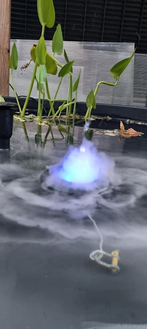 A small pond features lush green plants with elongated leaves emerging from the water. A misty vapor with a blue hue swirls in a circular pattern near the surface, suggesting a water feature or fountain effect. A few leaves float near the edge, and a small corded device is partially submerged in the foreground.