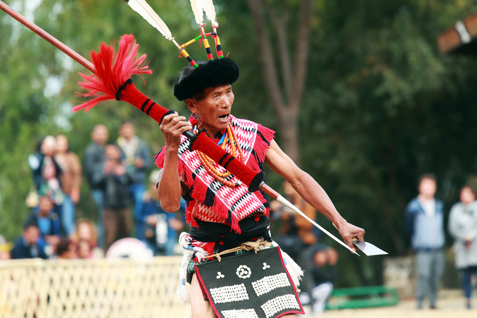 Hornbill Festival