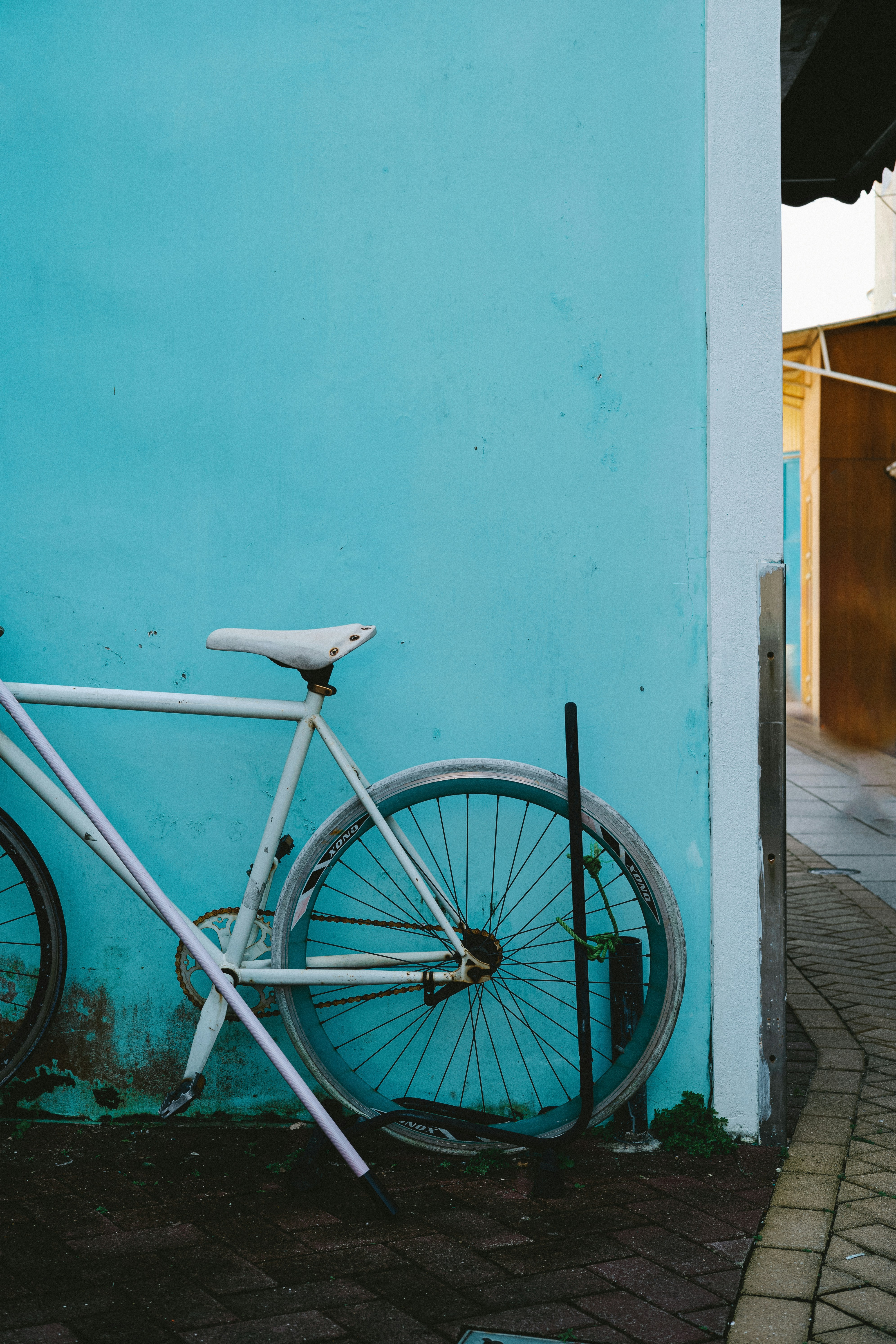 Photo by tommaomaoer