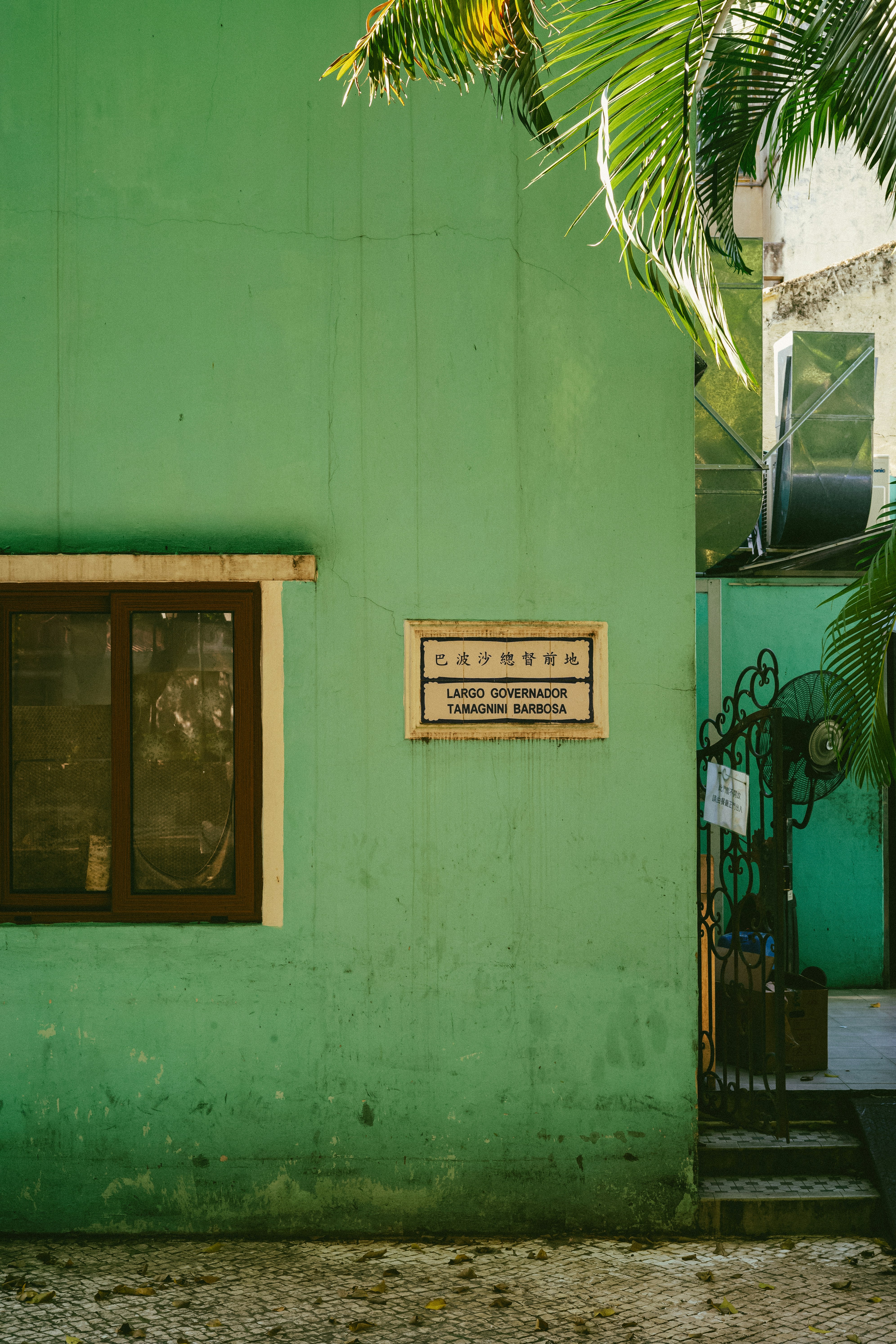 Photo by tommaomaoer