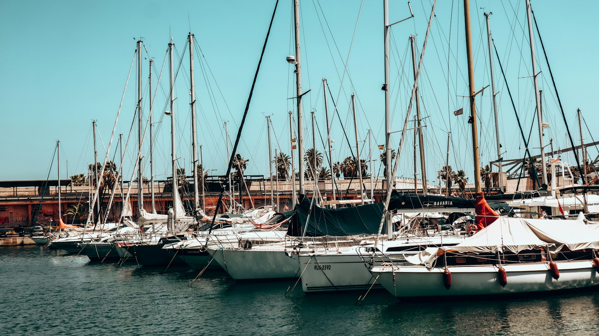 a group of sailboats docked in a harbor