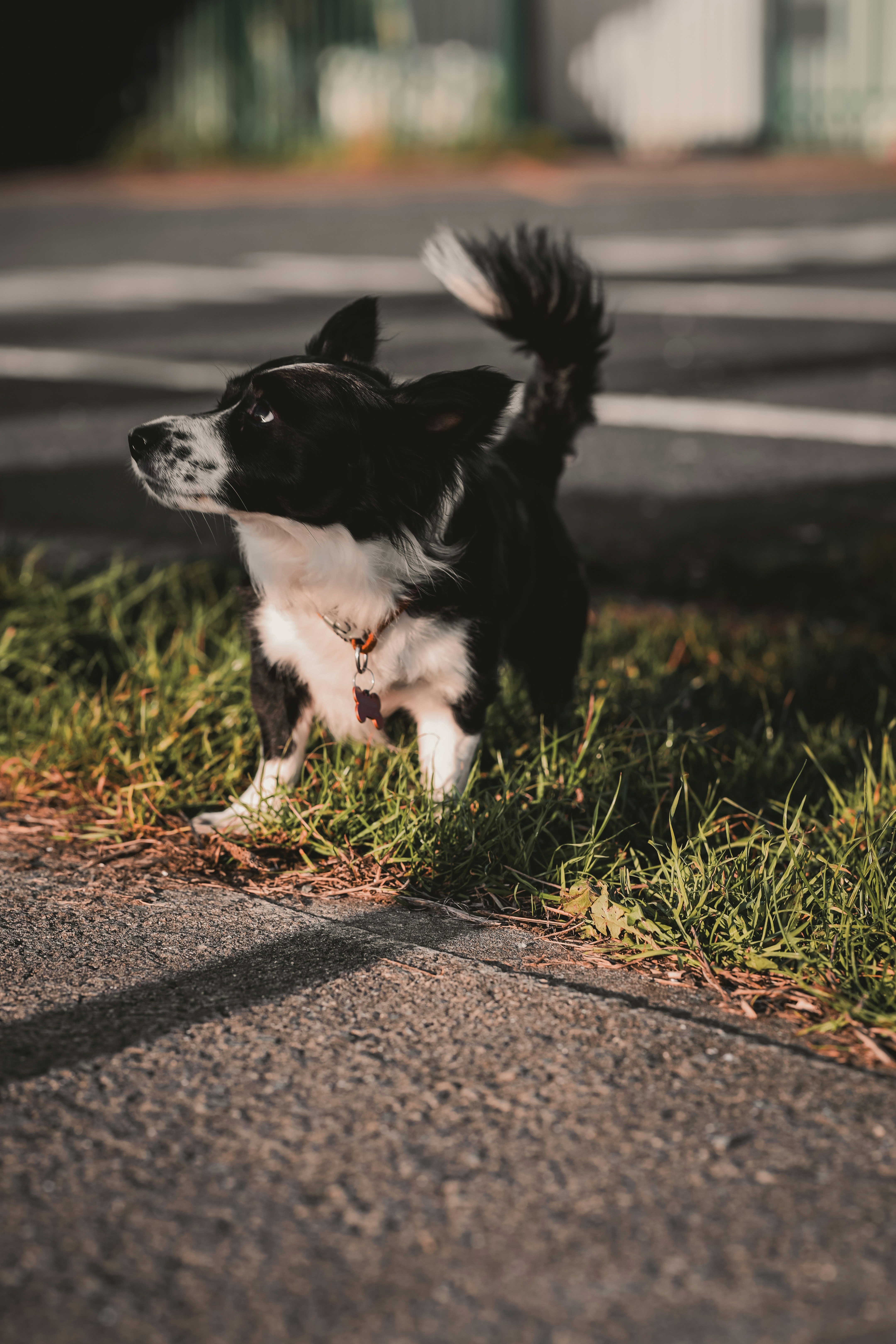 Photo by himo_beast1996