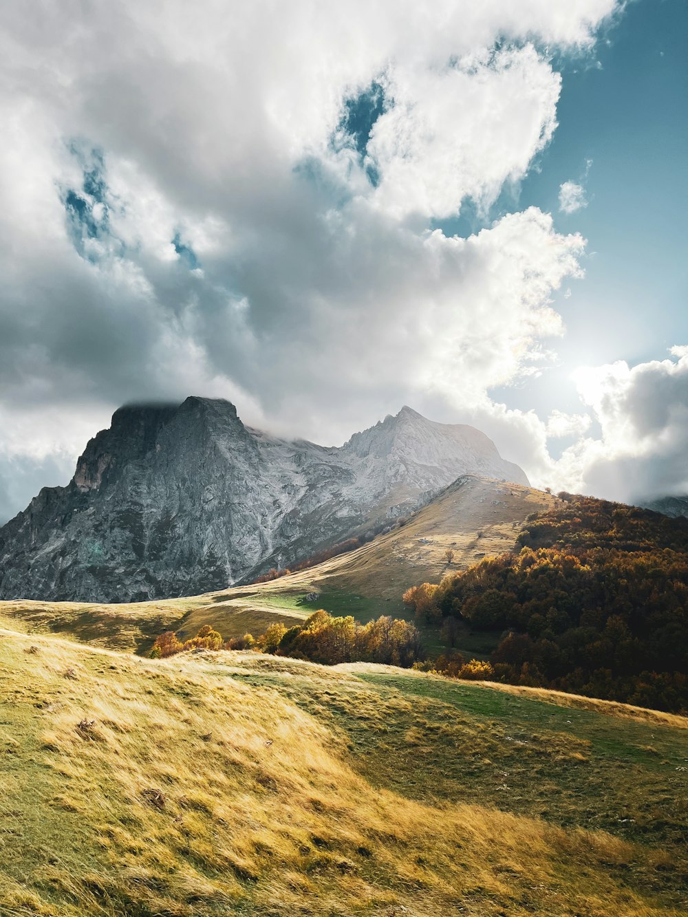 a grassy field with a mountain in the background