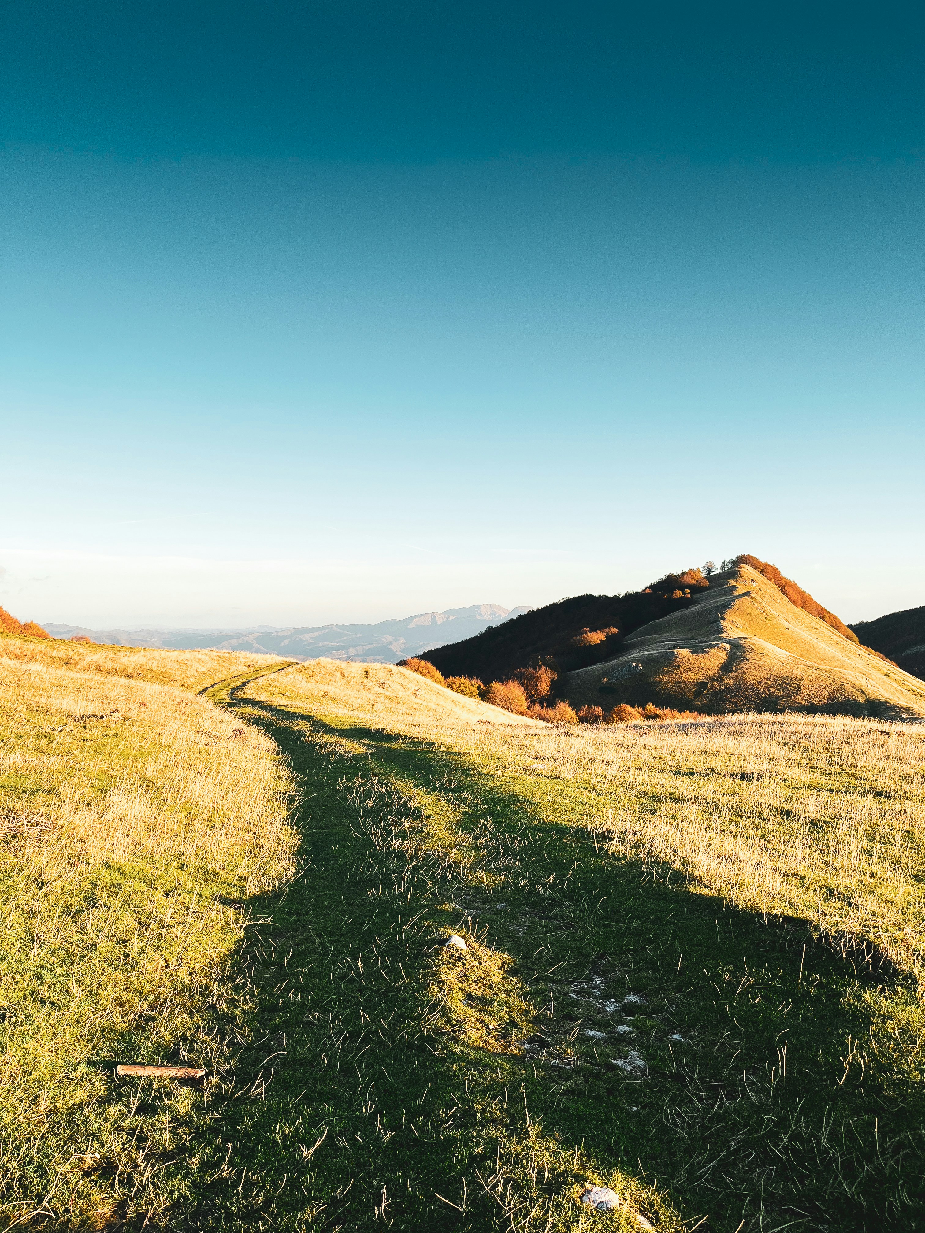 a grassy field with a hill in the background