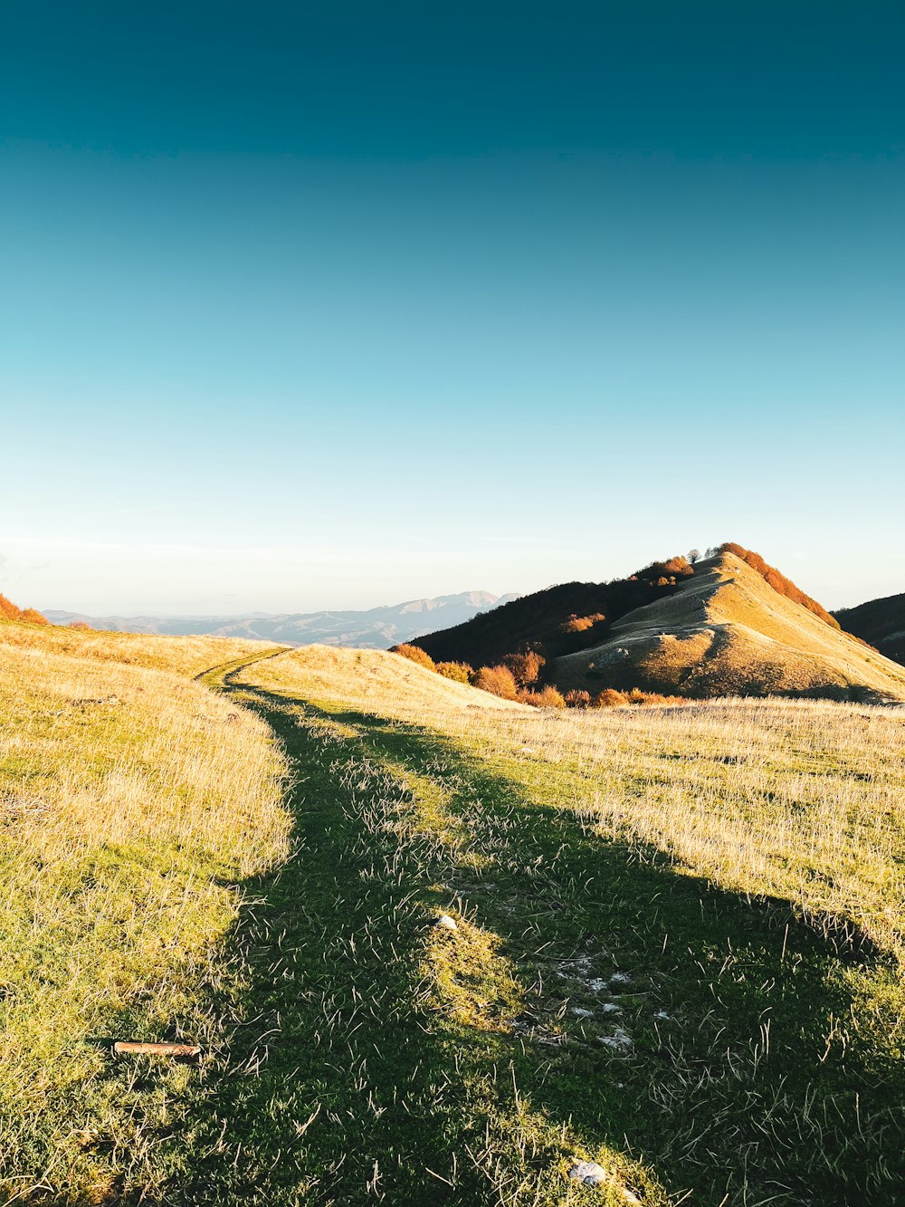 a grassy field with a hill in the background