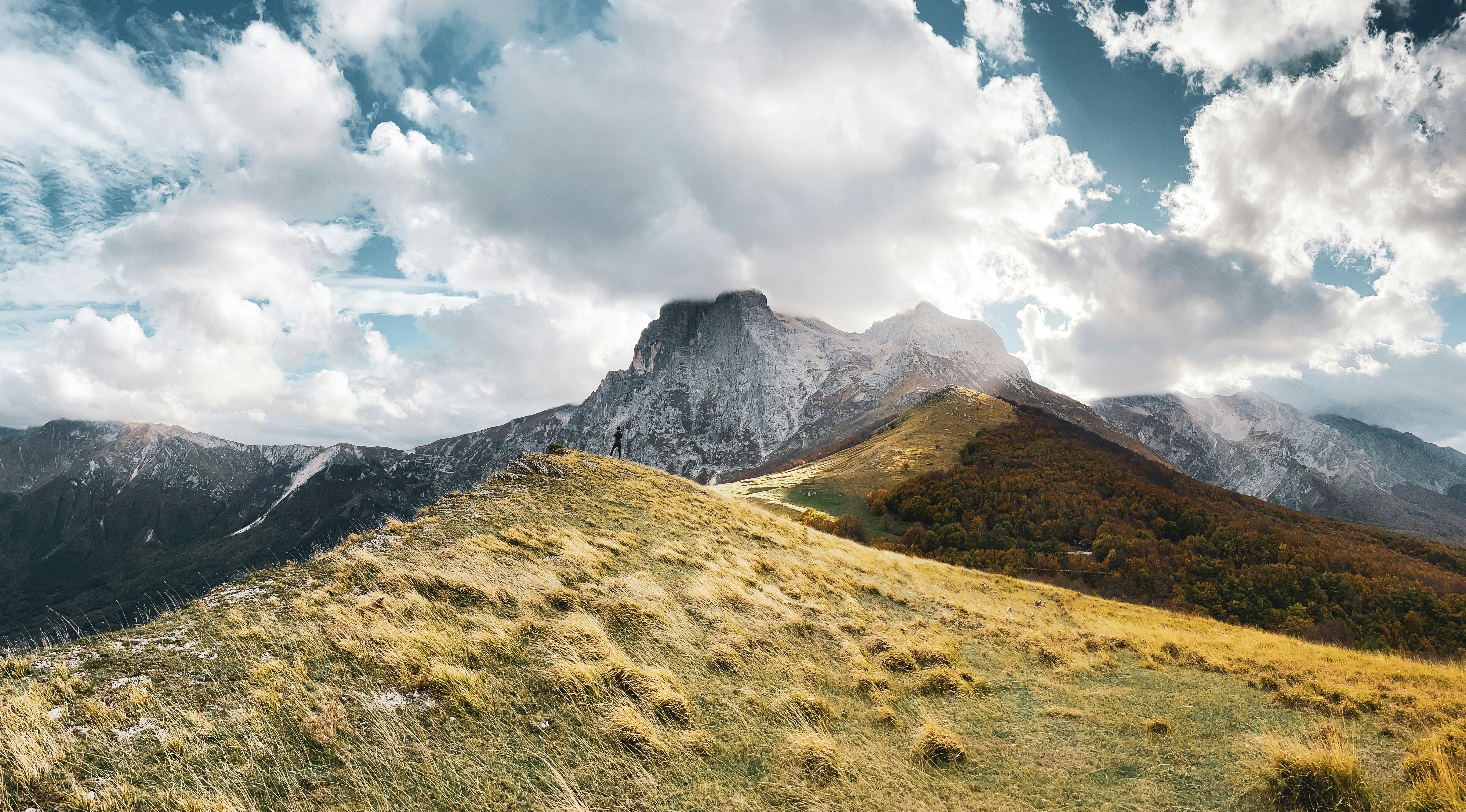 a grassy field with a mountain in the background