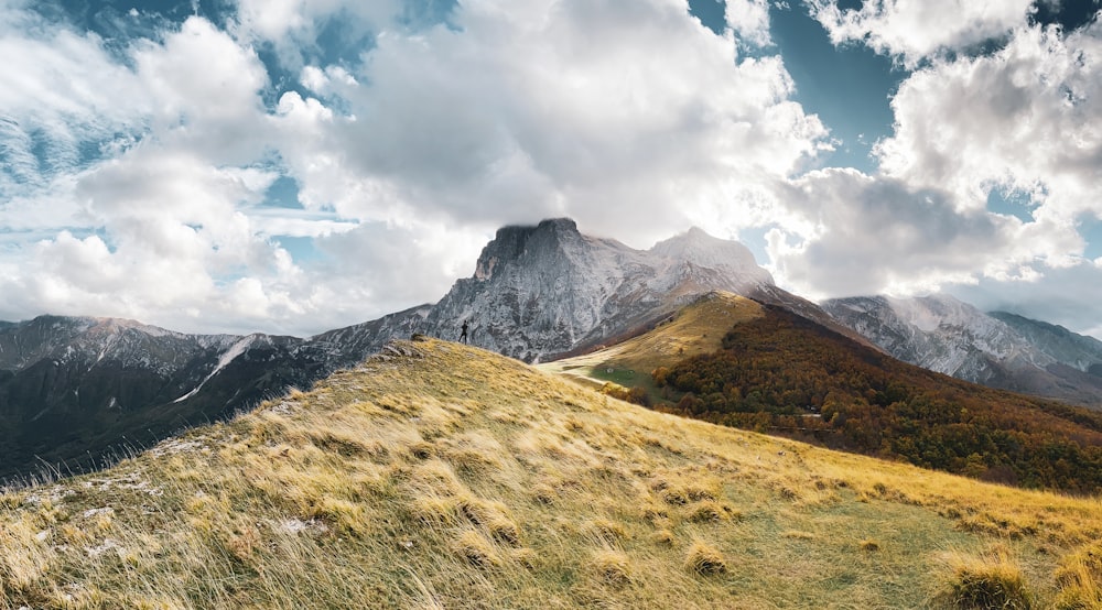 a grassy field with a mountain in the background