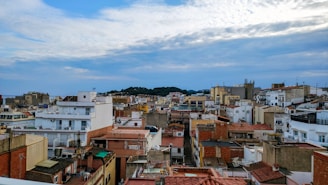 A panoramic view of a European cityscape featuring a variety of tightly packed buildings with a range of architectural styles. The structures have different heights and colors, with some having flat roofs and others with tiled rooftops. A green hill is visible in the background under a partly cloudy blue sky.