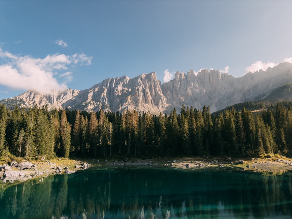 a body of water surrounded by trees and mountains