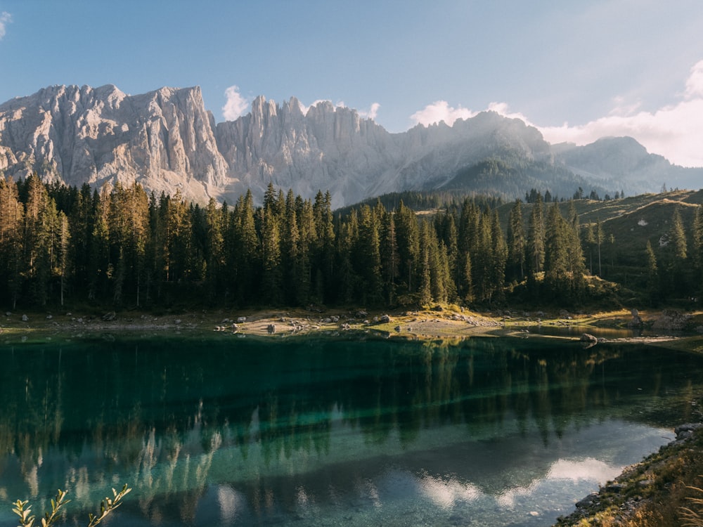 Un lago circondato da alberi e montagne