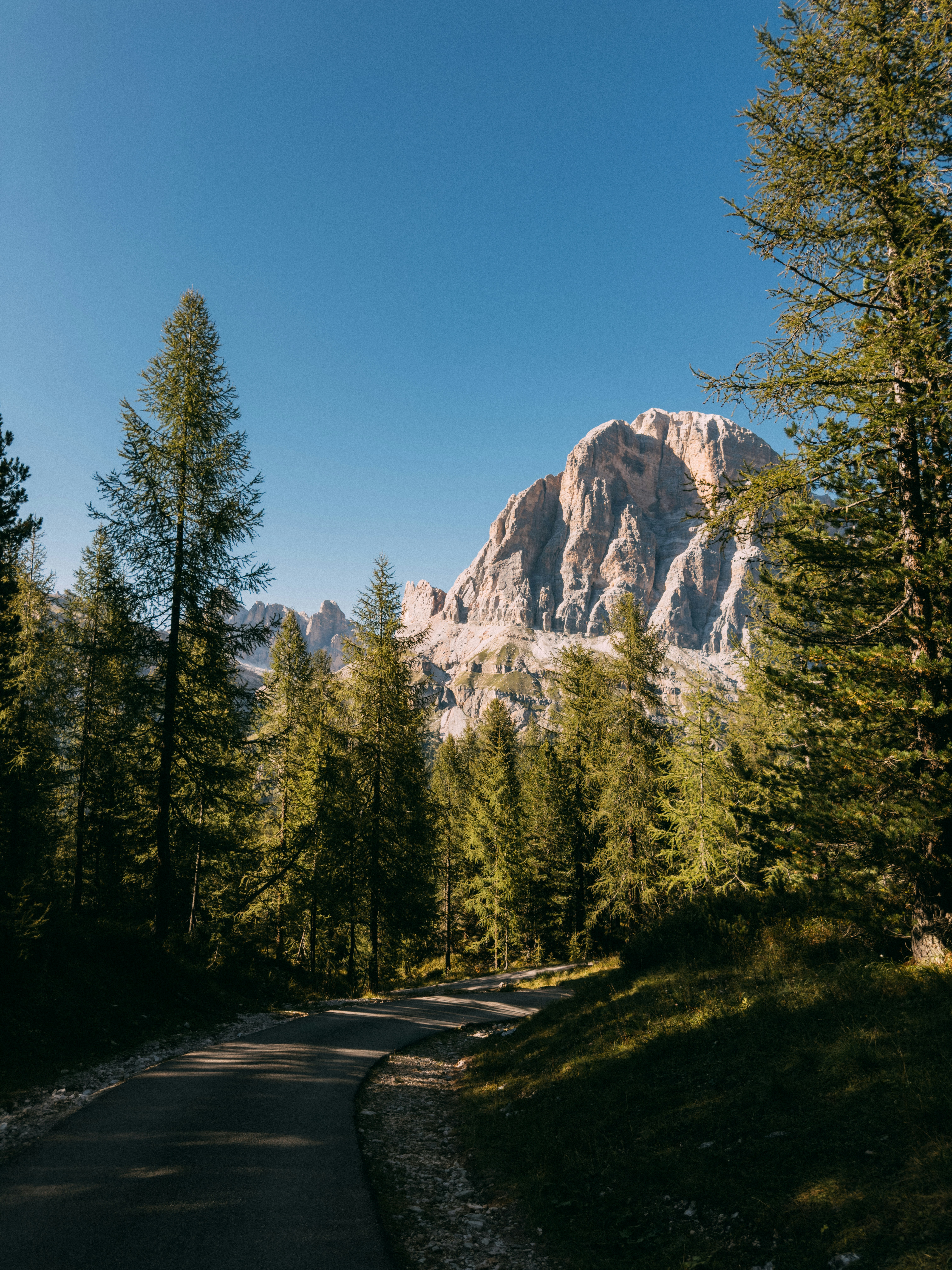 Photo by jonasdenil