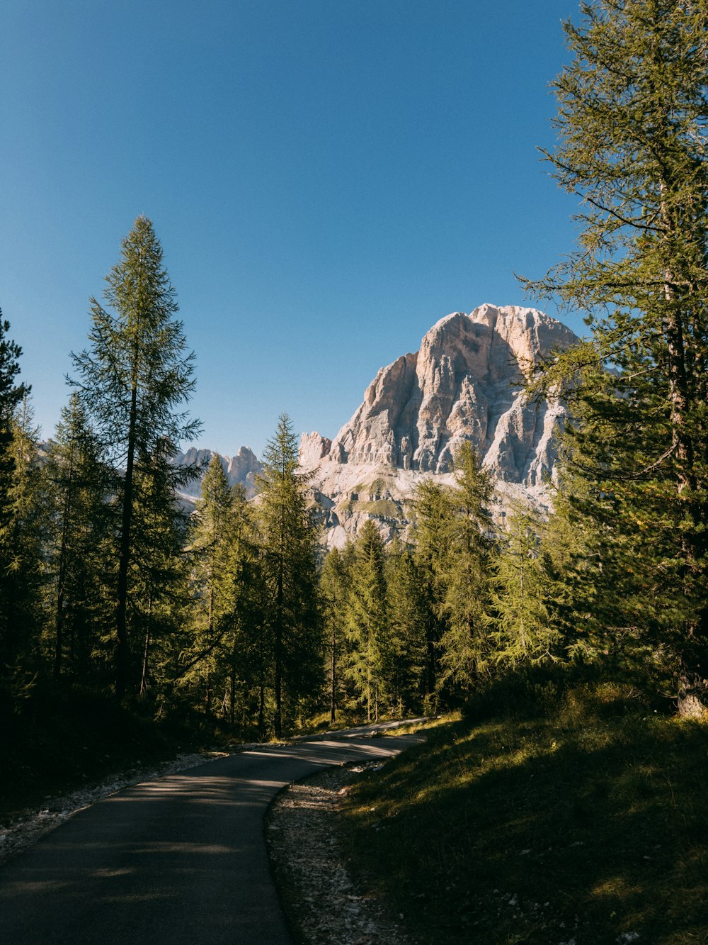 a road with a mountain in the background