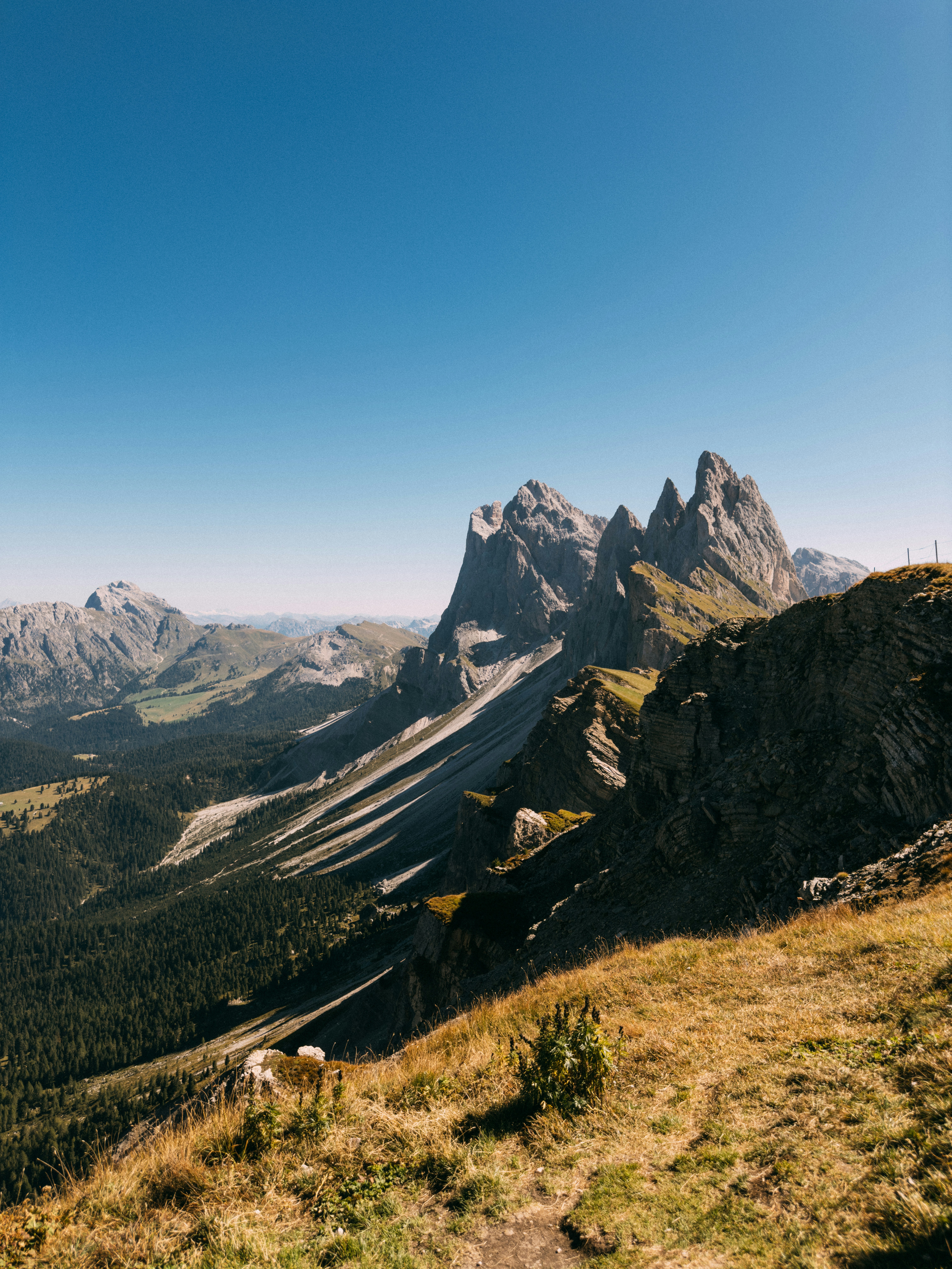 Photo by jonasdenil