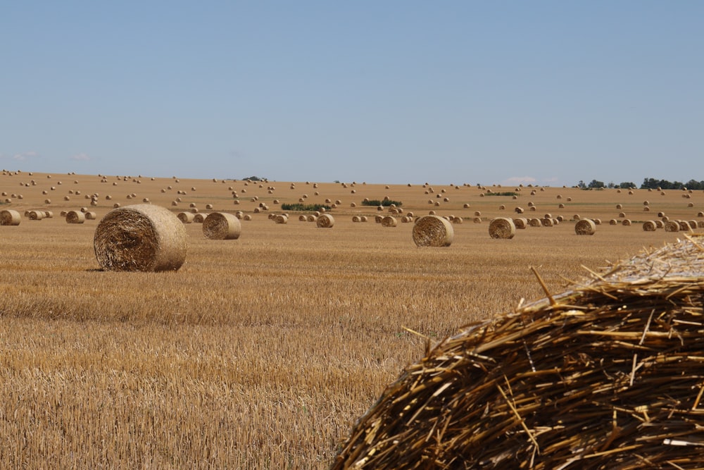 a large field full of hay bales