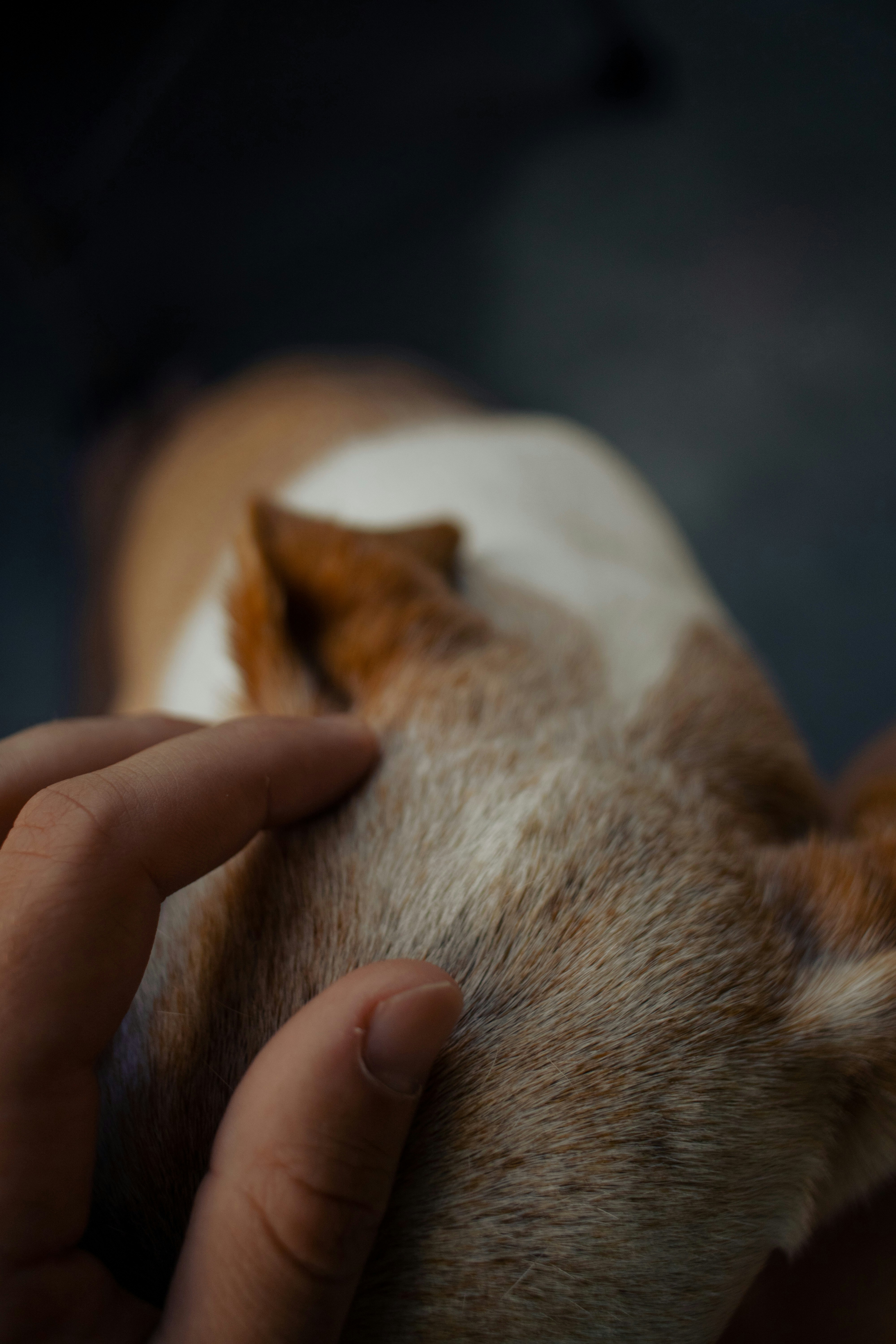 Photo by Ashford Marx on Unsplash
