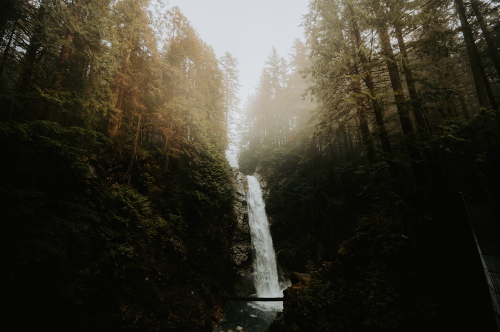 a waterfall in the middle of a forest