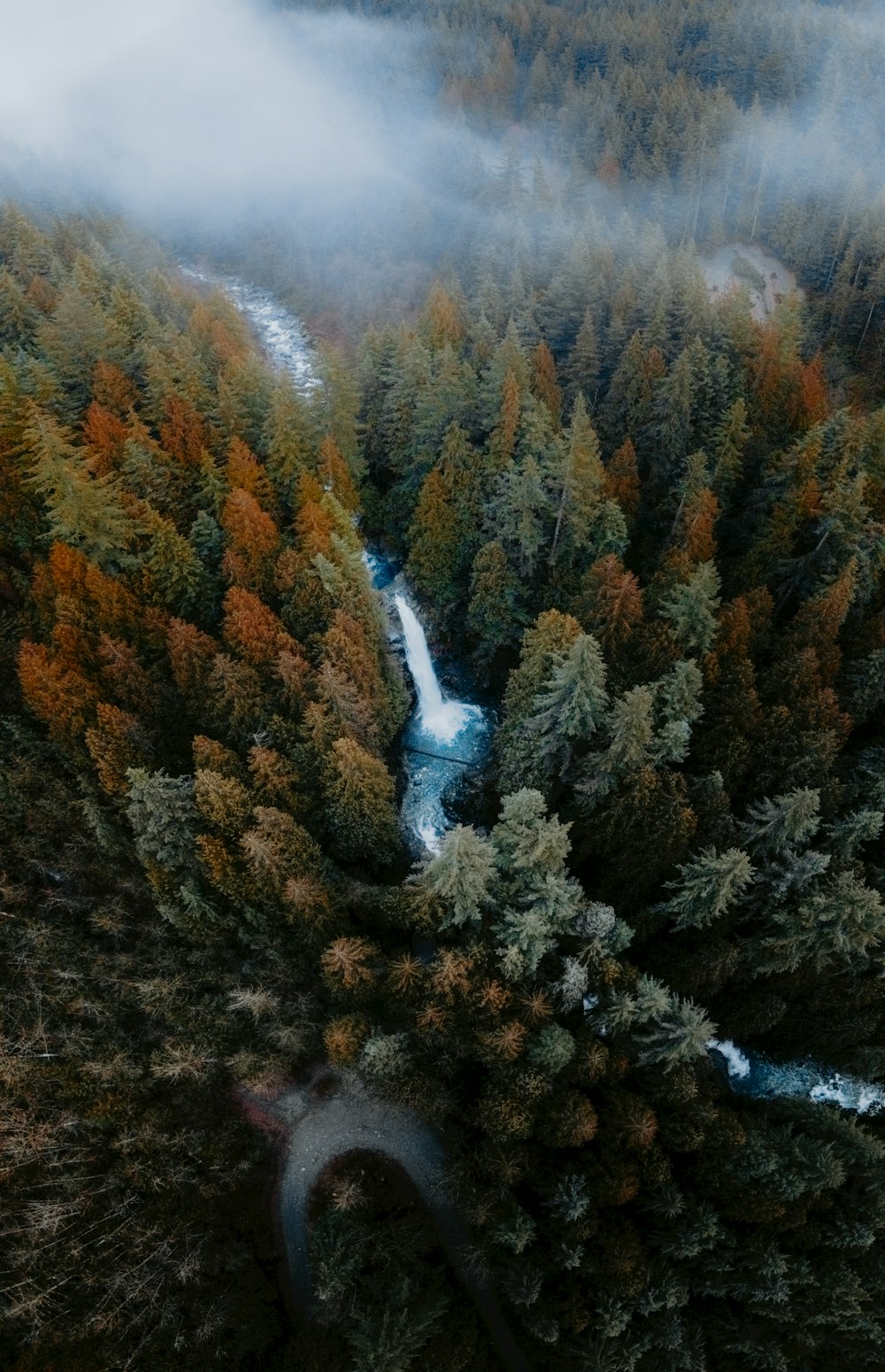 an aerial view of a river running through a forest