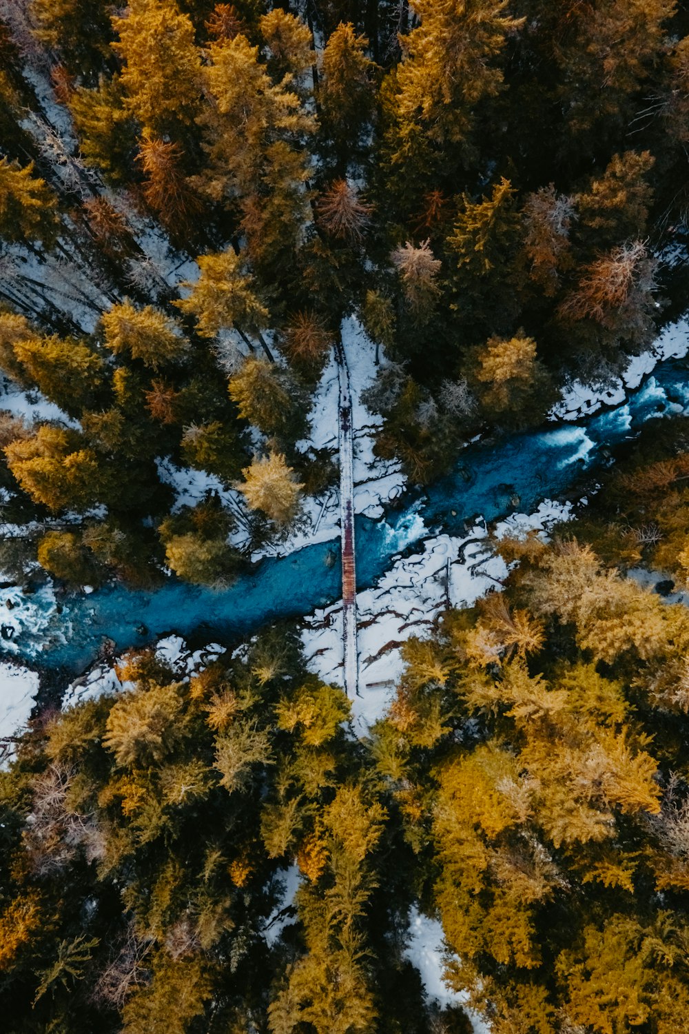 an aerial view of a snow covered forest