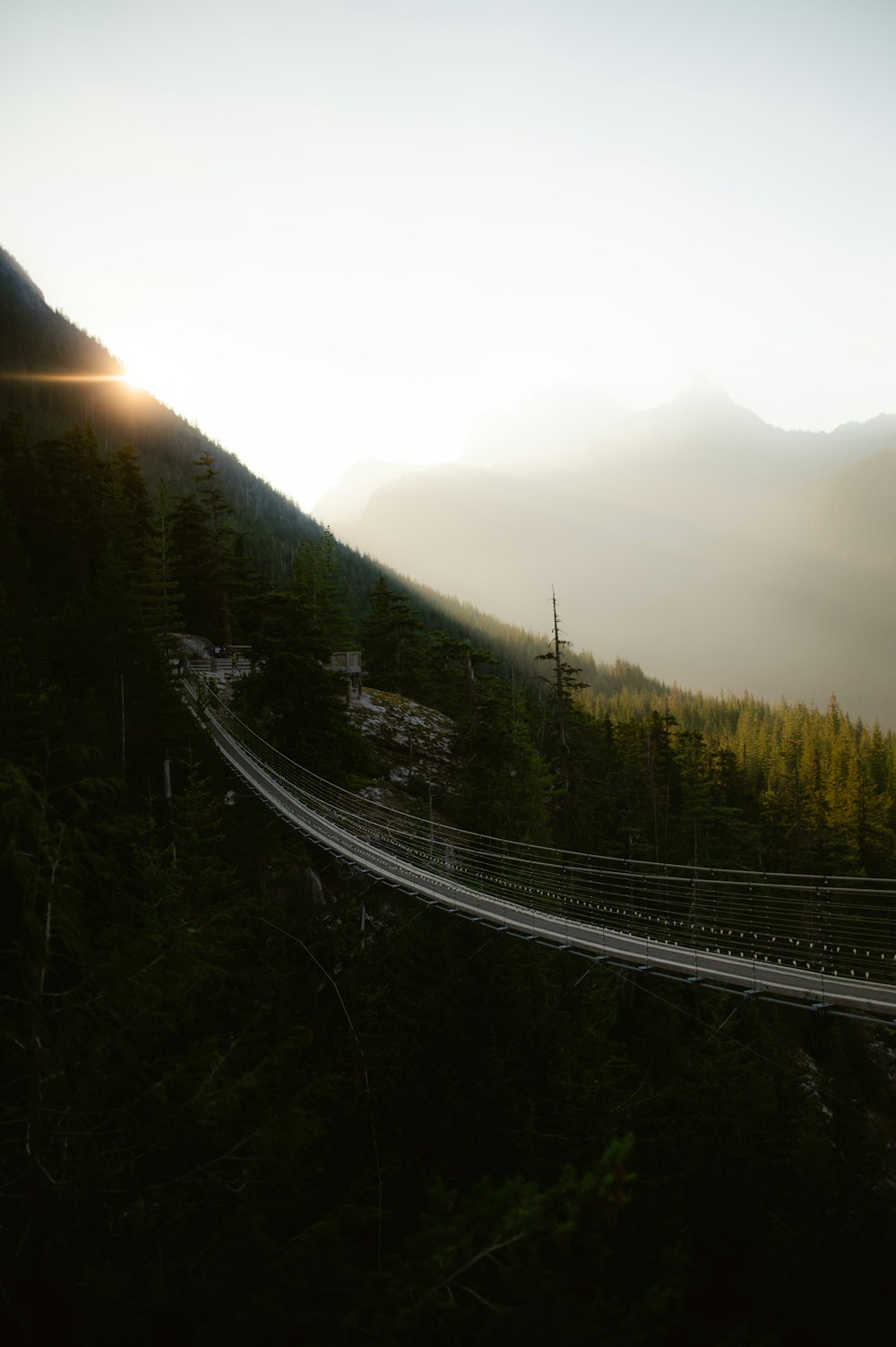 a road going through a forest with a mountain in the background